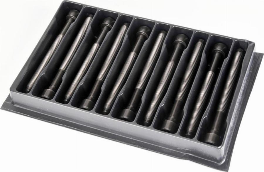 Payen HBS476 - Комплект болтів головки циліндрів autocars.com.ua