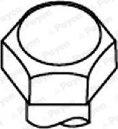 Payen HBS481 - Комплект болтів головки циліндрів autocars.com.ua