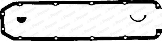Payen HL460 - Комплект прокладок, крышка головки цилиндра autodnr.net