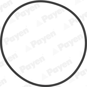 Payen HL5383 - Комплект прокладок, гільза циліндра autocars.com.ua