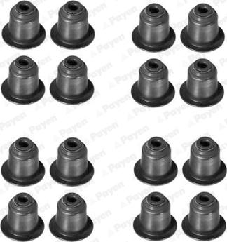 Payen HR5045 - Комплект прокладок, стержень клапана autocars.com.ua