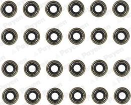 Payen HR5118 - Комплект прокладок, стержень клапана autocars.com.ua