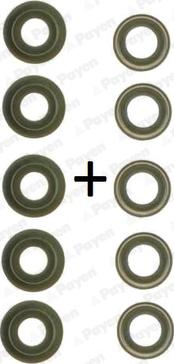 Payen HR758 - Комплект прокладок, стержень клапана autocars.com.ua