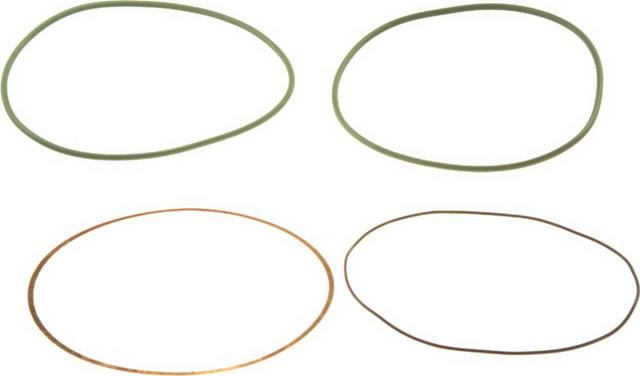 Payen HT018 - Комплект прокладок, гільза циліндра autocars.com.ua