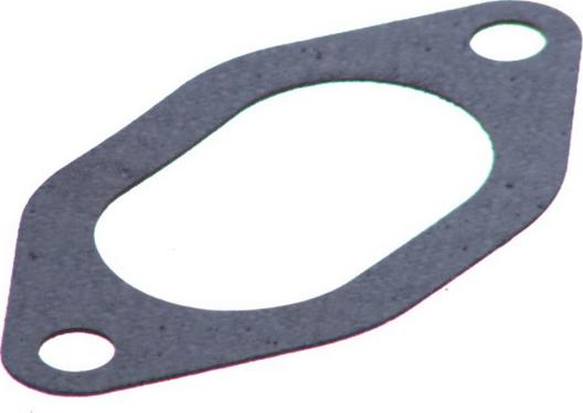 Payen JC054 - Прокладка, впускний колектор autocars.com.ua