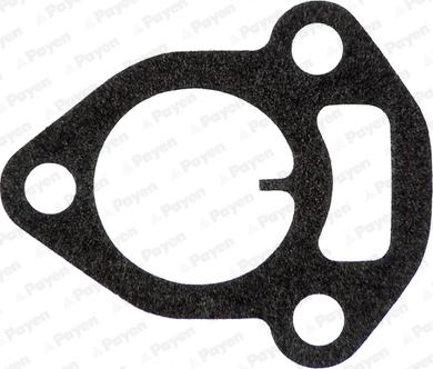 Payen JC140 - Прокладка, впускний колектор autocars.com.ua