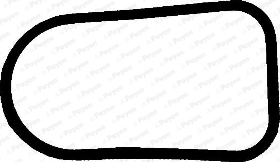 Payen JD5379 - Прокладка, впускной коллектор autodnr.net
