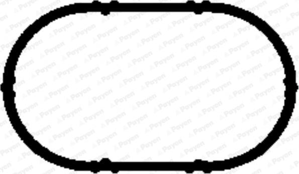 Payen JD5893 - Прокладка, корпус впускного коллектора autodnr.net