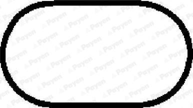 Payen JD5931 - Прокладка, впускной коллектор avtokuzovplus.com.ua