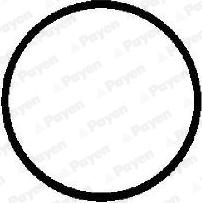 Payen JD612 - Прокладка, впускной коллектор autodnr.net