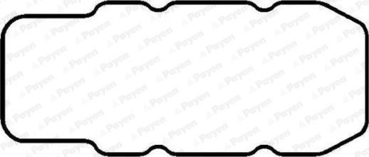 Payen JM053 - Прокладка, кришка головки циліндра autocars.com.ua