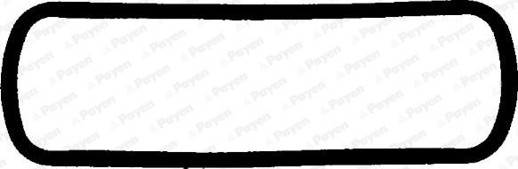 Payen JM302 - Прокладка, кришка головки циліндра autocars.com.ua