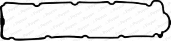 Payen JM5063 - Прокладка, крышка головки цилиндра autodnr.net