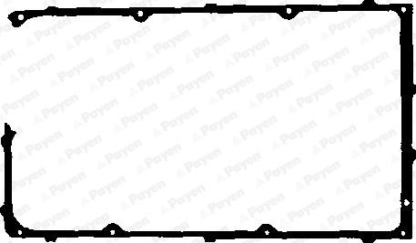 Payen JM510 - Прокладка, крышка головки цилиндра autodnr.net