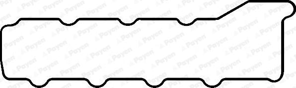Payen JM5279 - Прокладка, крышка головки цилиндра autodnr.net