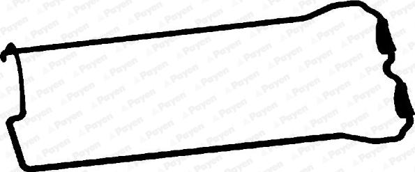 Payen JM5281 - Прокладка, кришка головки циліндра autocars.com.ua