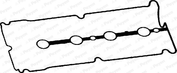Payen JM5287 - Прокладка, крышка головки цилиндра autodnr.net