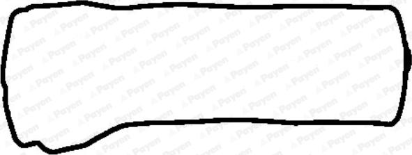 Payen JM5298 - Прокладка, крышка головки цилиндра autodnr.net