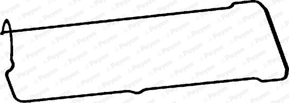Payen JM5304 - Прокладка, крышка головки цилиндра autodnr.net