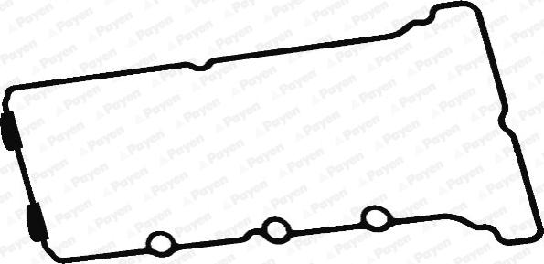 Payen JM5312 - Прокладка, крышка головки цилиндра avtokuzovplus.com.ua