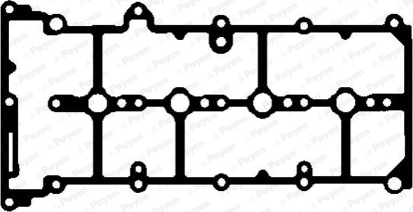 Payen JM7055 - Прокладка, кришка головки циліндра autocars.com.ua