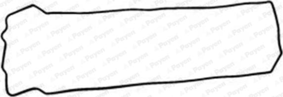 Payen JM7147 - Прокладка, крышка головки цилиндра avtokuzovplus.com.ua