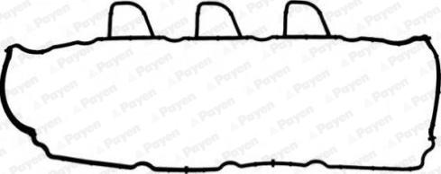 Payen JM7165 - Прокладка, кришка головки циліндра autocars.com.ua