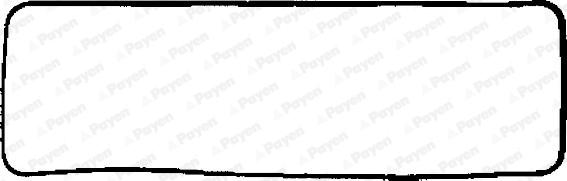 Payen JN248 - Прокладка, крышка головки цилиндра autodnr.net