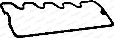 Payen JN454 - Прокладка, крышка головки цилиндра autodnr.net