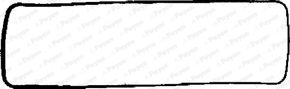 Payen JN600 - Прокладка, крышка головки цилиндра avtokuzovplus.com.ua