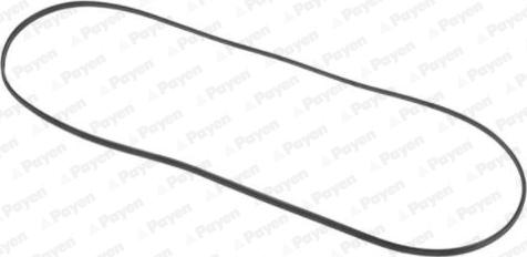 Payen JN707 - Прокладка, крышка головки цилиндра avtokuzovplus.com.ua