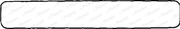Payen JN748 - Прокладка, крышка головки цилиндра avtokuzovplus.com.ua