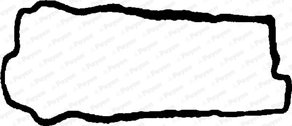 Payen JN829 - Прокладка, крышка головки цилиндра autodnr.net