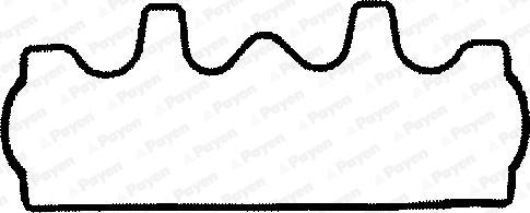 Payen JP041 - Прокладка, кришка головки циліндра autocars.com.ua