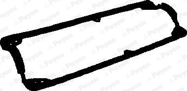Payen JP074 - Прокладка, крышка головки цилиндра autodnr.net