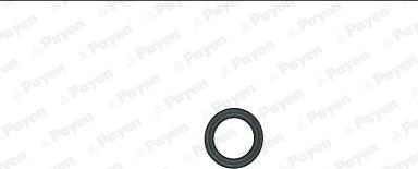 Payen JP077 - Прокладка, кришка головки циліндра autocars.com.ua