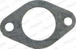 Payen KA293 - Прокладка, водяний насос autocars.com.ua