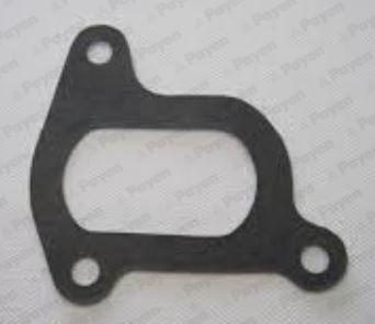 Payen KA5053 - Прокладка, водяний насос autocars.com.ua