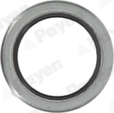 Payen KG5011 - Уплотнительное кольцо, резьбовая пробка маслосливного отверстия autodnr.net