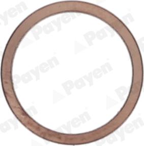 Payen KG5148 - Уплотнительное кольцо, резьбовая пробка маслосливного отверстия avtokuzovplus.com.ua