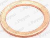 Payen KG5158 - Уплотнительное кольцо, резьбовая пробка маслосливного отверстия avtokuzovplus.com.ua