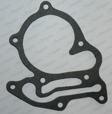 Payen KL478 - Прокладка, водяний насос autocars.com.ua