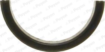 Payen LV501 - Уплотняющее кольцо, коленчатый вал autodnr.net