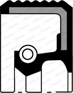 Payen NA5205 - Уплотняющее кольцо, дифференциал autodnr.net