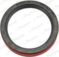 Payen NA5356 - Ущільнене кільце, колінчастий вал autocars.com.ua