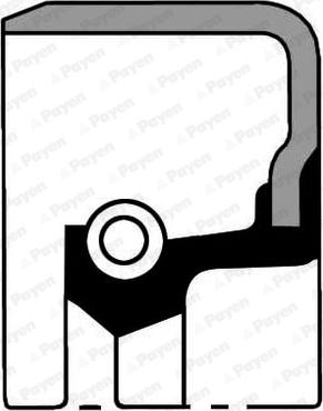 Payen NF185 - Уплотняющее кольцо, сальник, ступица колеса autodnr.net
