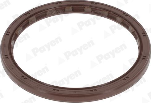 Payen NA5513 - Ущільнене кільце, колінчастий вал autocars.com.ua