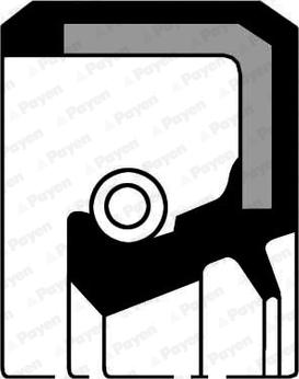 Payen NA585 - Уплотняющее кольцо, сальник, ступица колеса autodnr.net