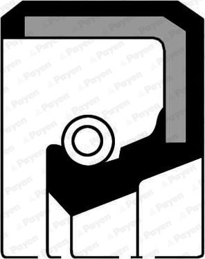 Payen NF072 - Уплотняющее кольцо, сальник, ступица колеса autodnr.net