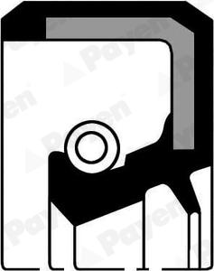 Payen NJ154 - Ущільнене кільце, колінчастий вал autocars.com.ua